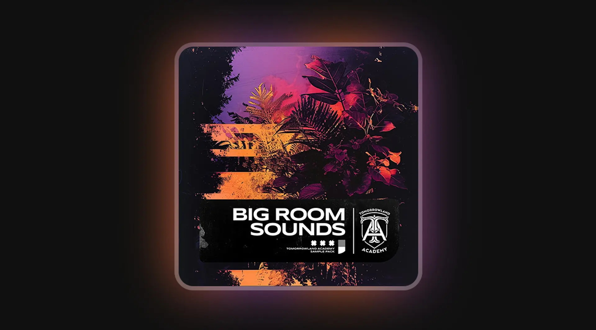 Sample Pack
Big Room Sounds