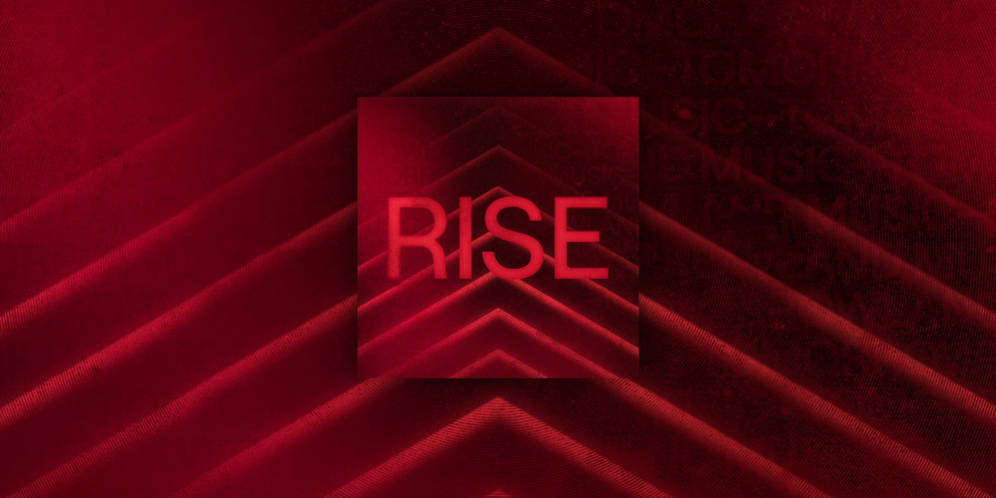 Tomorrowland Academy