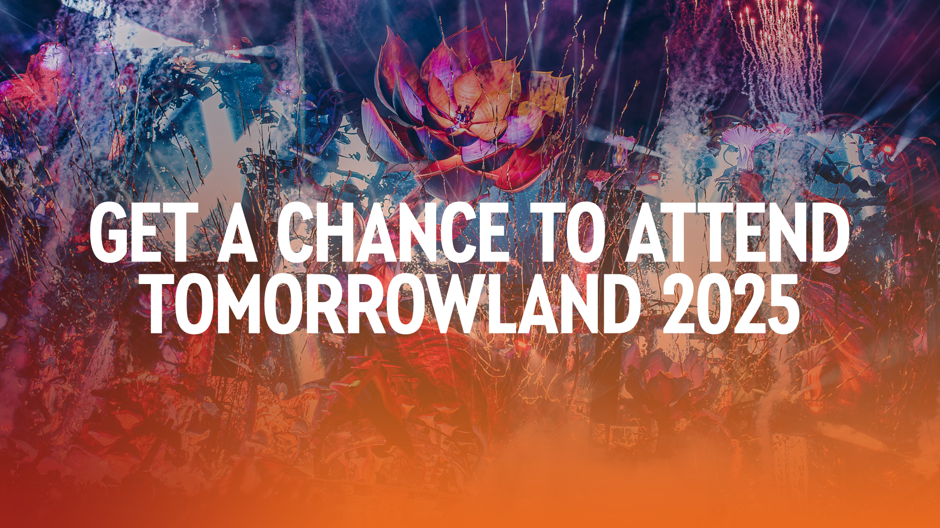 Get a chance to attend Tomorrowland 2025! | Tomorrowland Academy